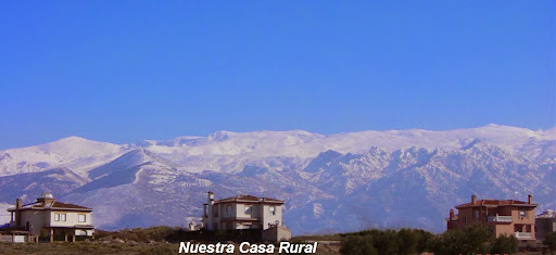 Dueños Alquilan En Miramar