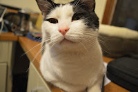 DSC_0116.JPG