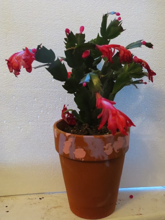 [IMG_9975%255B4%255D.jpg]