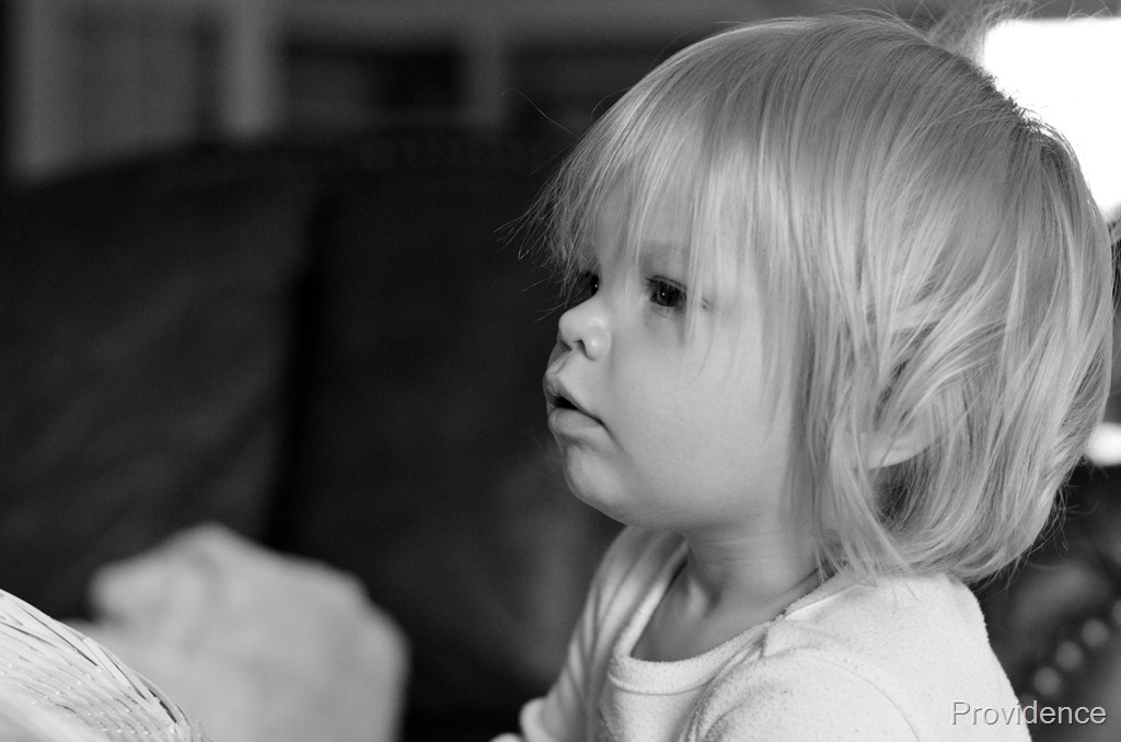[DSC_7171%255B5%255D.jpg]