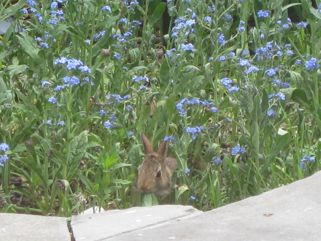[IMG_0713%255B4%255D.jpg]