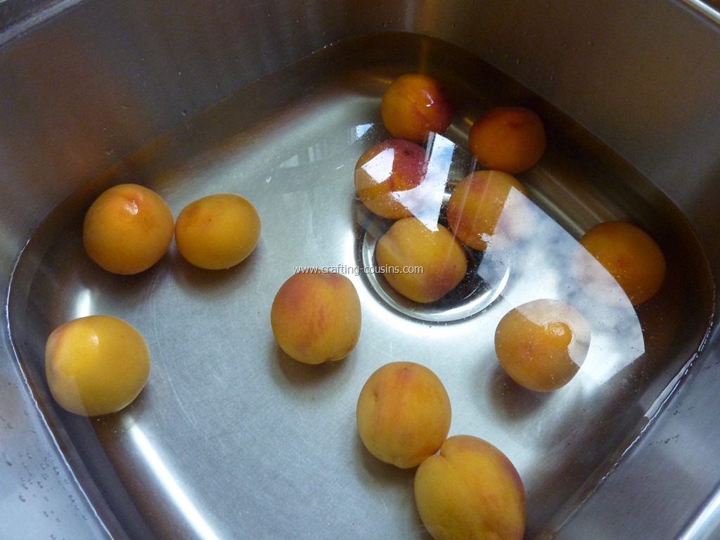 [Home-canned-peaches-by-the-Crafty-Co%255B39%255D.jpg]
