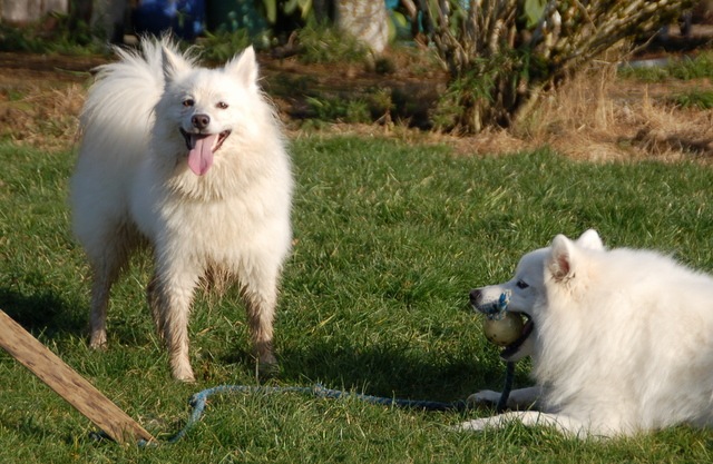 [DSC_5037%255B9%255D.jpg]