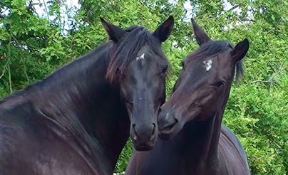 [20140911105813-%25286%2529%255B3%255D.jpg]