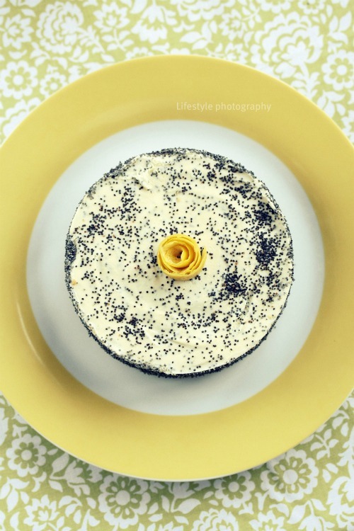 tort lm
