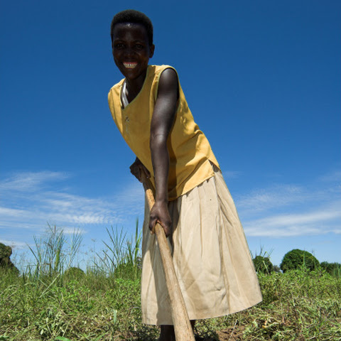 On working farm