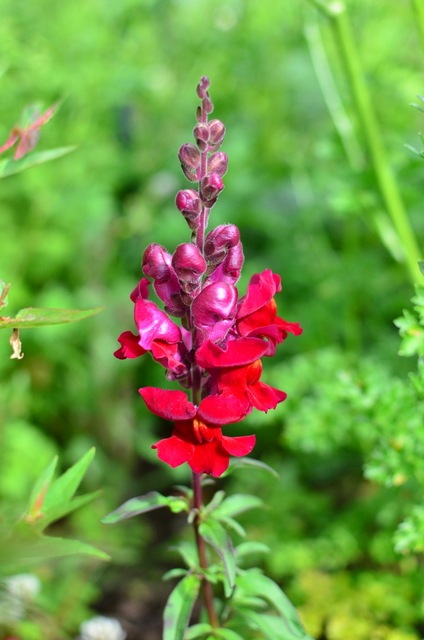 [DSC_0004%255B4%255D.jpg]