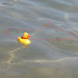 DSC01134.JPG