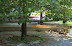 National Zoo in August