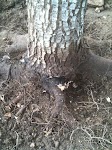 IMG_0824.jpg IMG_0824.jpg