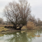 IMG_1559.JPG