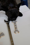 But this fancy wrench smells kind of sweet.