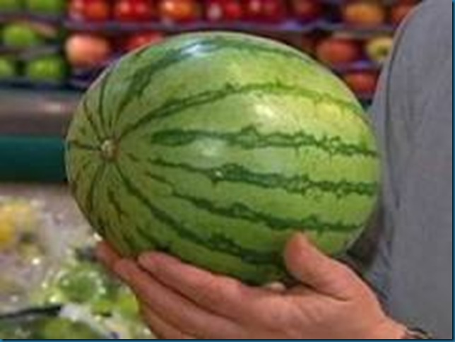 choosing watermelon - touch