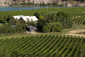 Central Otago Pinot Noir surrounds Bald Hills homestead