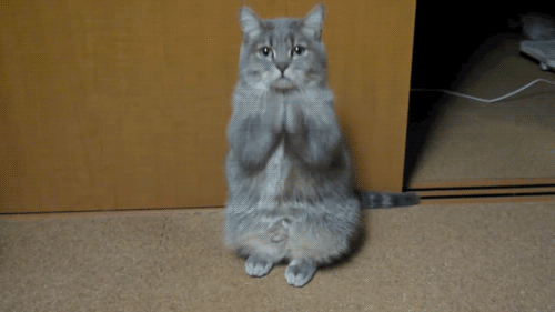 http://lh4.ggpht.com/-_twJ6nLpov4/TeDs1wvIOfI/AAAAAAAABMw/vRJ7w7mu5YE/jokep%2525C3%2525B4.gif