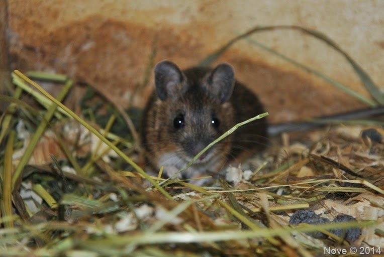 DSC_0322 DSC_0322