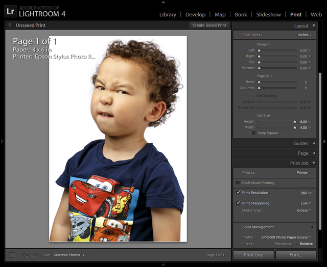 Epson R3000 4x6 Borderless Print Settings for Lightroom