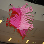 IMG_9454.jpg