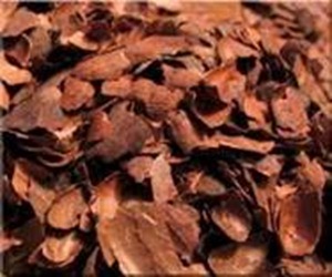 Cascarilla de Cacao Cascarilla de Cacao
