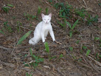 DSC05095.jpg DSC05095.jpg