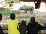 Our last stop of the trip was the Pretoria Zoo where the kids got to see a lot of animals they'd never seen before, and a lot of others up close that actually just live across the fence (less than a kilometer) from our village, but which keeps the kids from seeing them regularly. They loved the zoo, and even though the rest of the teachers were worn out by then, I managed to keep up with the kids. South Africa - 431.jpg