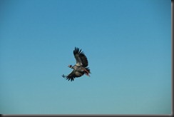 IMG_2299 IMG_2299