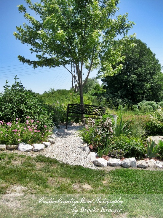 [IMG_4339%255B2%255D.jpg]