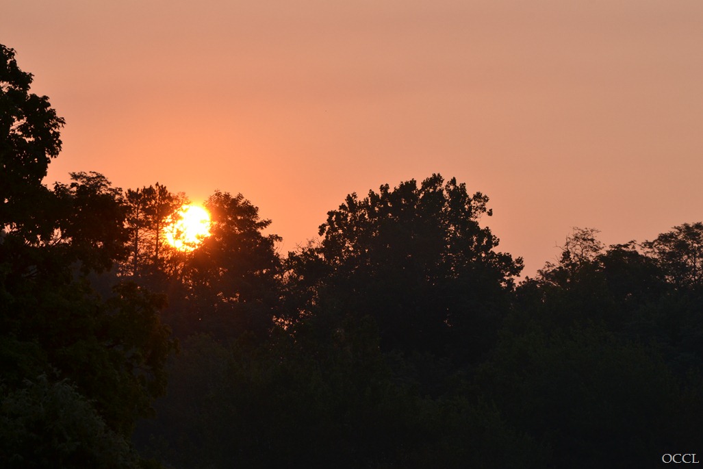 [DSC_2190%255B3%255D.jpg]