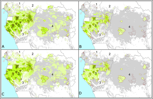 Elephant dung density and range reduction across the Central African forests. Predictions are shown for (A) 2002 and (B) 2011 for the model with variables: survey year∧, Human Influence Index***, corruption*** and the presence/absence of guards***, and (C) 2002 and (D) 2011 for the model with variables: survey year∧, proximity to road∧, human population density***, corruption*** and the presence/absence of guards*** (P-values are: ‘***’ <0.001 and ‘∧’ <0.1). Increasingly darker shades of green correspond to higher densities, grey represents extremely low elephant density range (the first interval: 0–100 elephant dung piles/km2) and white is non-habitat (80 survey sites outlined in red). Cutpoints are: 0; 100; 250; 500; 1,000; 1,500; 3,000; 5,000; and 7,500 dung piles/km2. Countries 1–5 are: Cameroon; Central African Republic; Republic of Congo; DRC; Gabon. Graphic: Maisels, et al., 2013 / doi:10.1371/journal.pone.0059469