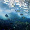 Ga & FL trip 227.JPG