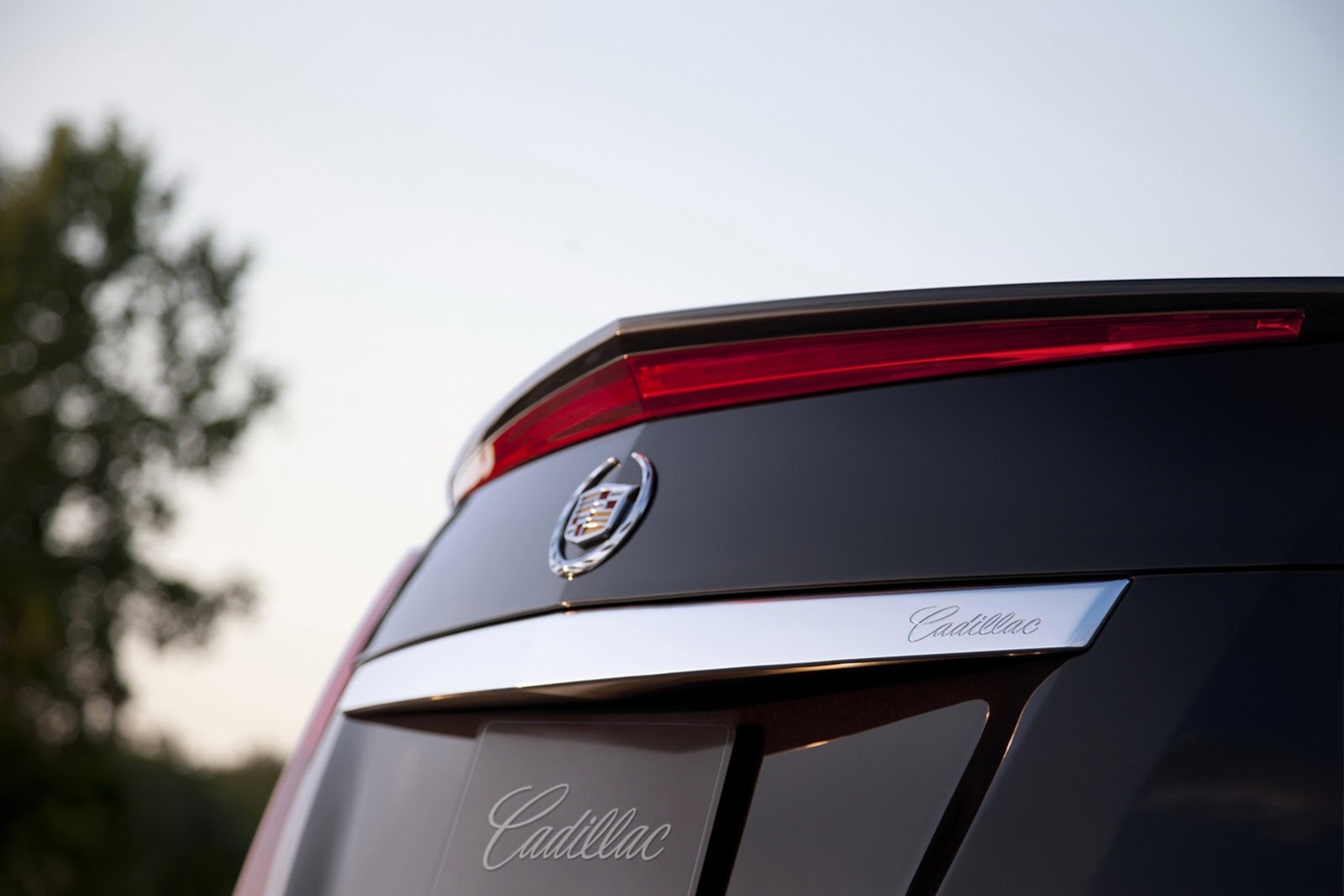 [2014-Cadillac-ELR-6%255B2%255D.jpg]