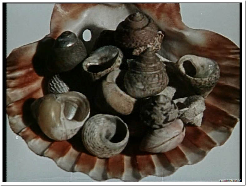 jan svankmajer historia naturae emmerdeur_33 jan svankmajer historia naturae emmerdeur_33