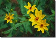 AE-WatercolorSponge-01-1200 AE-WatercolorSponge-01-1200