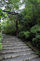 DSC00032.JPG Photo