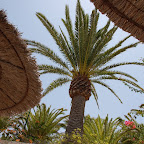 DSC_7102.JPG