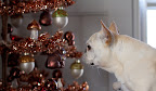 I love the ornaments on this copper tinsel tree.  In addition to bears, there are woodland mushrooms and glittered acorns.