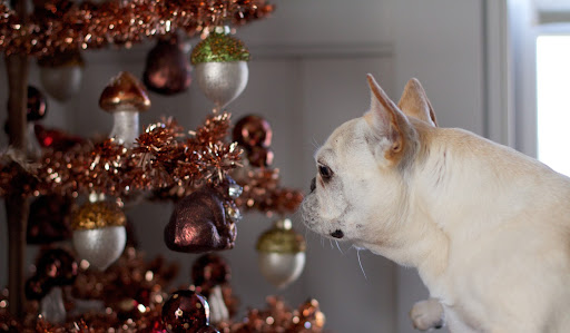 I love the ornaments on this copper tinsel tree.  In addition to bears, there are woodland mushrooms and glittered acorns.
