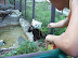 National Zoo in August