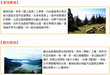 台中包車旅遊 清境農場 台中包車旅遊 清境農場