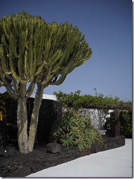 Lanzarote mare 568