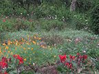 Victoria Park
