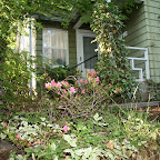 Front Door.jpg