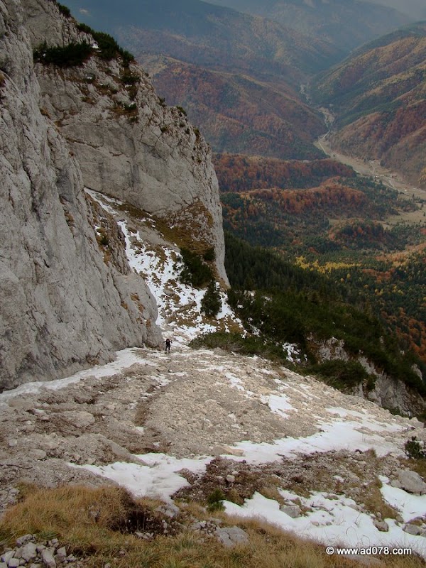 cioranga ramura de sus-33.JPG