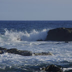 _IGP0182.JPG