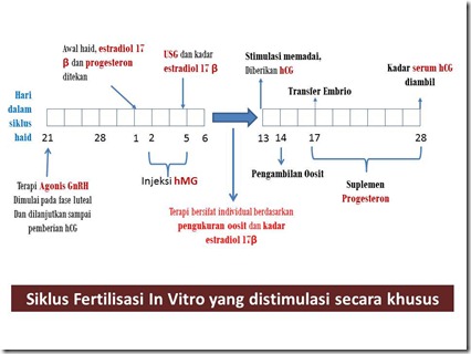 sIKLUS fiv STIMULASI KHUSUS sIKLUS fiv STIMULASI KHUSUS