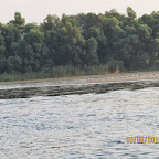 IMG_6455.JPG