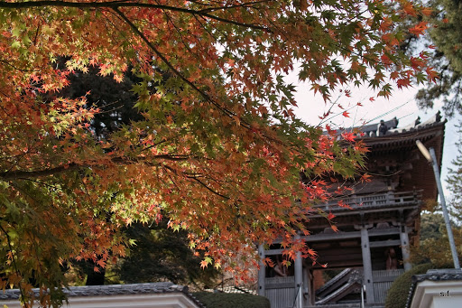 前原あい の掲示板投稿写真＆画像