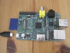 IMG_1455 IMG_1455