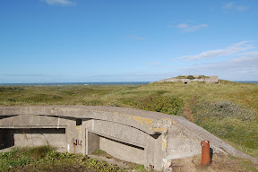 DSC_0479.JPG