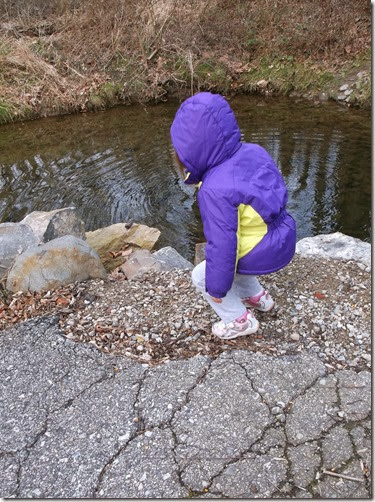 DSCF5628 DSCF5628
